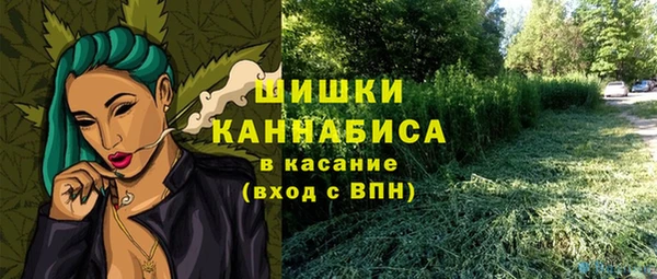 ешки Михайлов