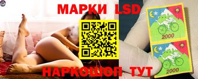 мяу мяу мука Кандалакша