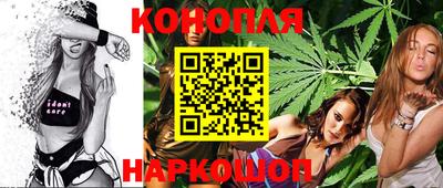 мяу мяу мука Кандалакша