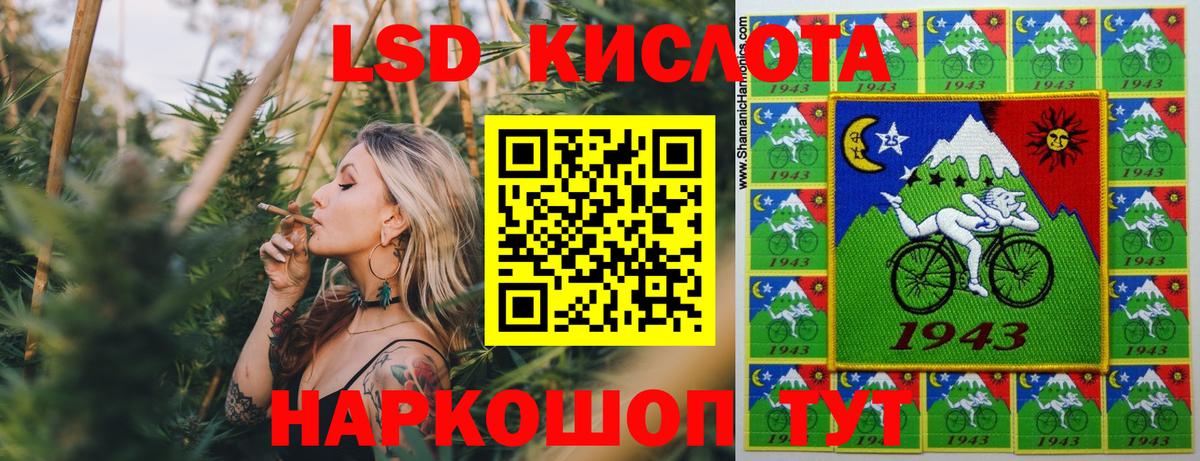 МЕФ Мурманск