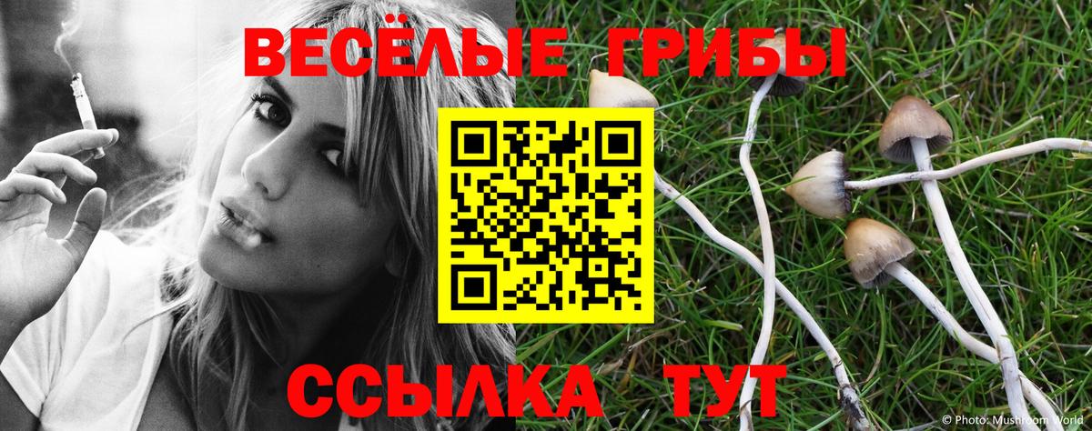 Псилоцибиновые грибы GOLDEN TEACHER  Псилоцибиновые грибы мухоморы  Мурманск  Вход с VPN 