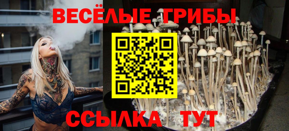 Галлюциногенные грибы мицелий Мурманск
