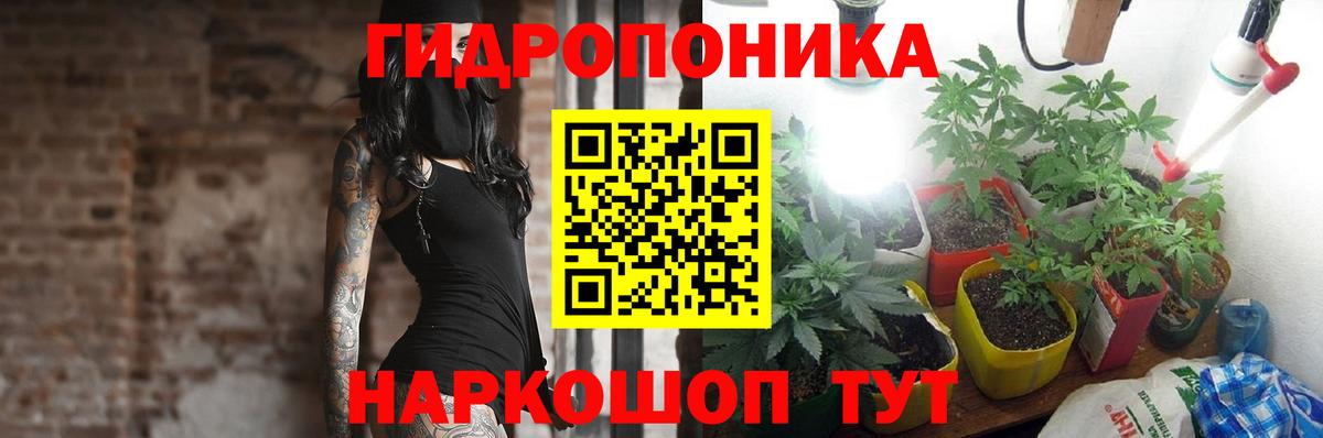 ТГК Мурманск